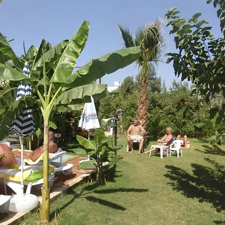 Hotel Olivia 3*